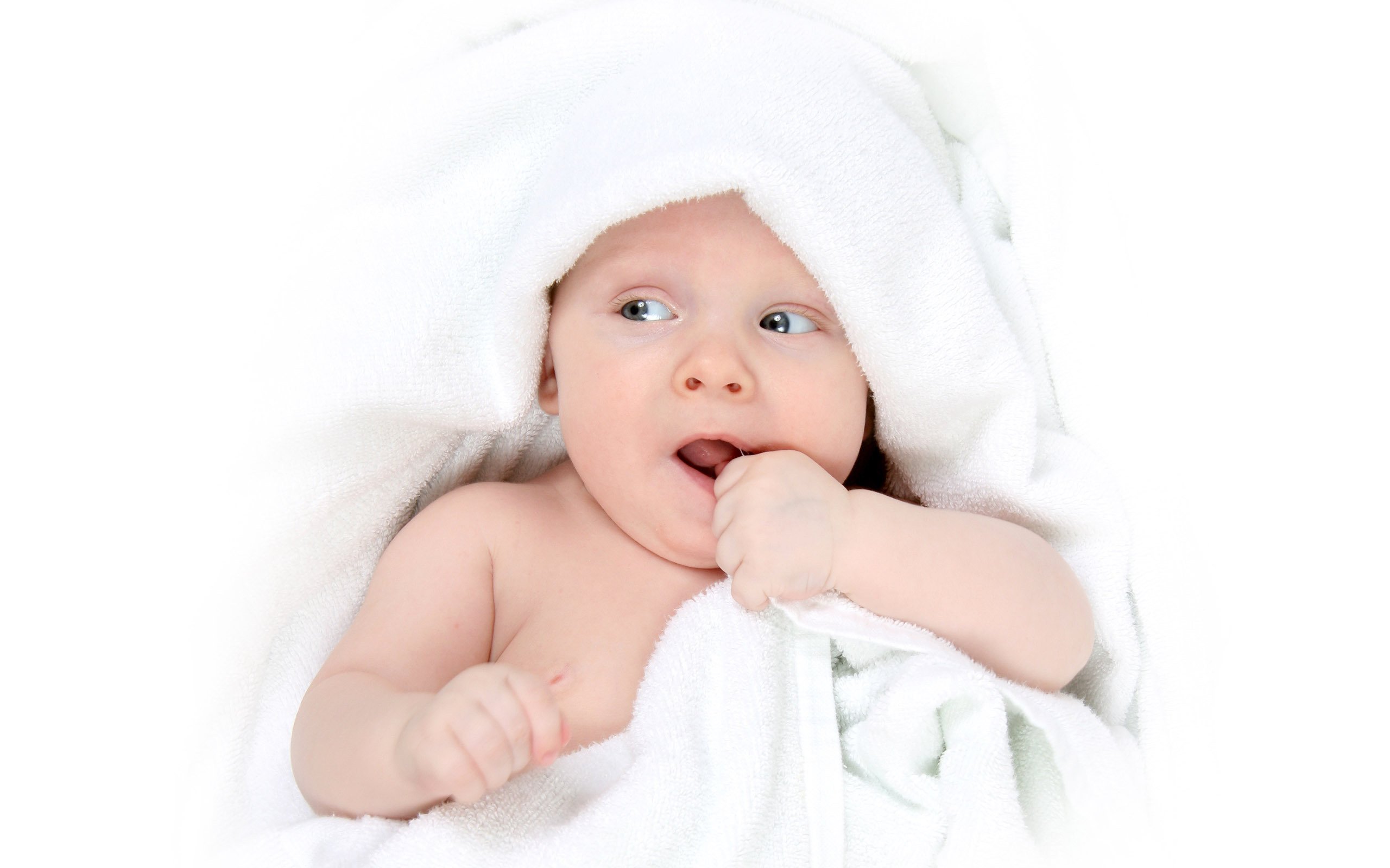 佛山正规捐卵机构试管婴儿成功率最高的医院